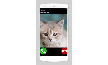 Fake Call Video Cat 2 Game for Android - Download the APK from Habererciyes